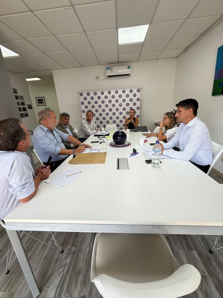 Comisión Reforma del Estatuto